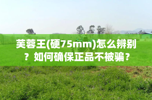 芙蓉王(硬75mm)怎么辨别？如何确保正品不被骗？